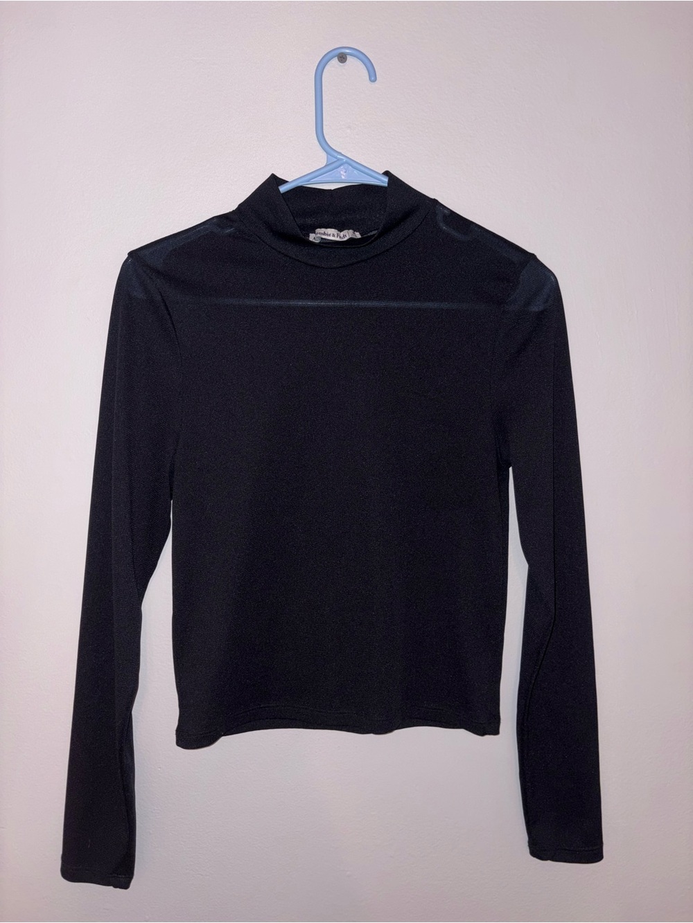 Sheer Black Long-Sleeve Mock Neck Top